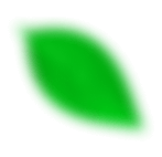leaf_top