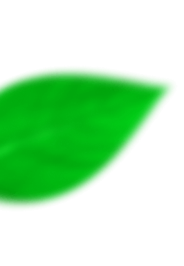 leaf-left